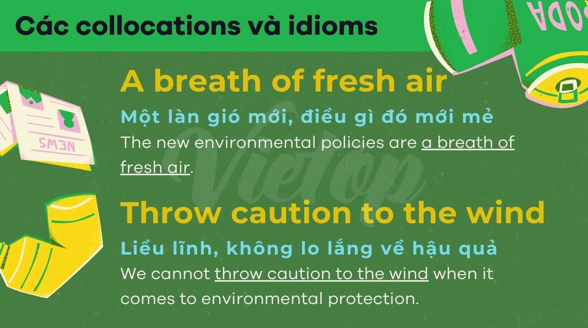 từ vựng IELTS Writing Task 2 chủ đề environment