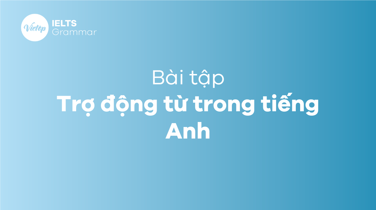 Trợ động từ trong tiếng Anh