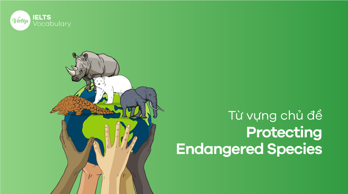 Từ vựng về Protecting Endangered Species