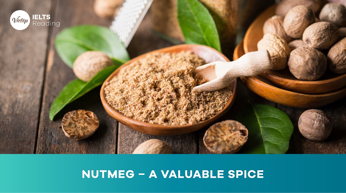 Reading Practice: Nutmeg – a valuable spice