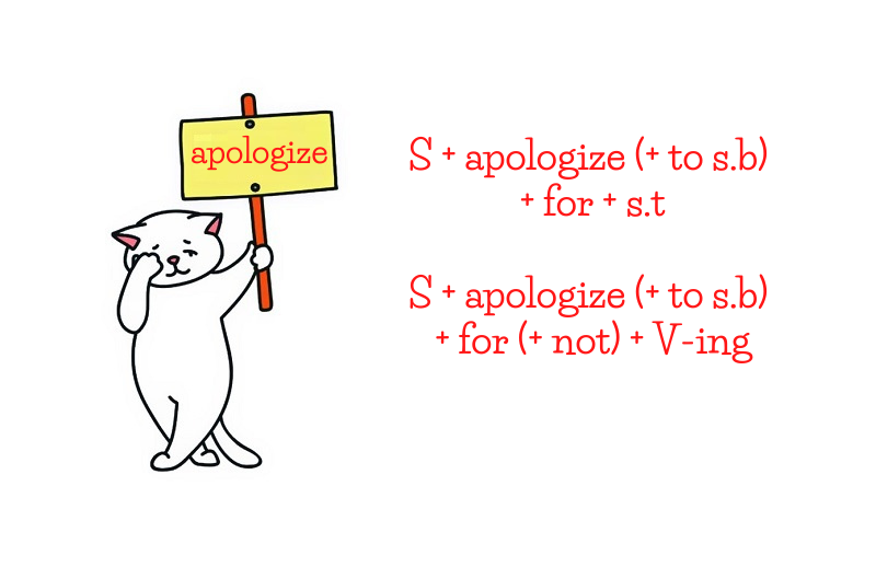 Cấu trúc Apologize