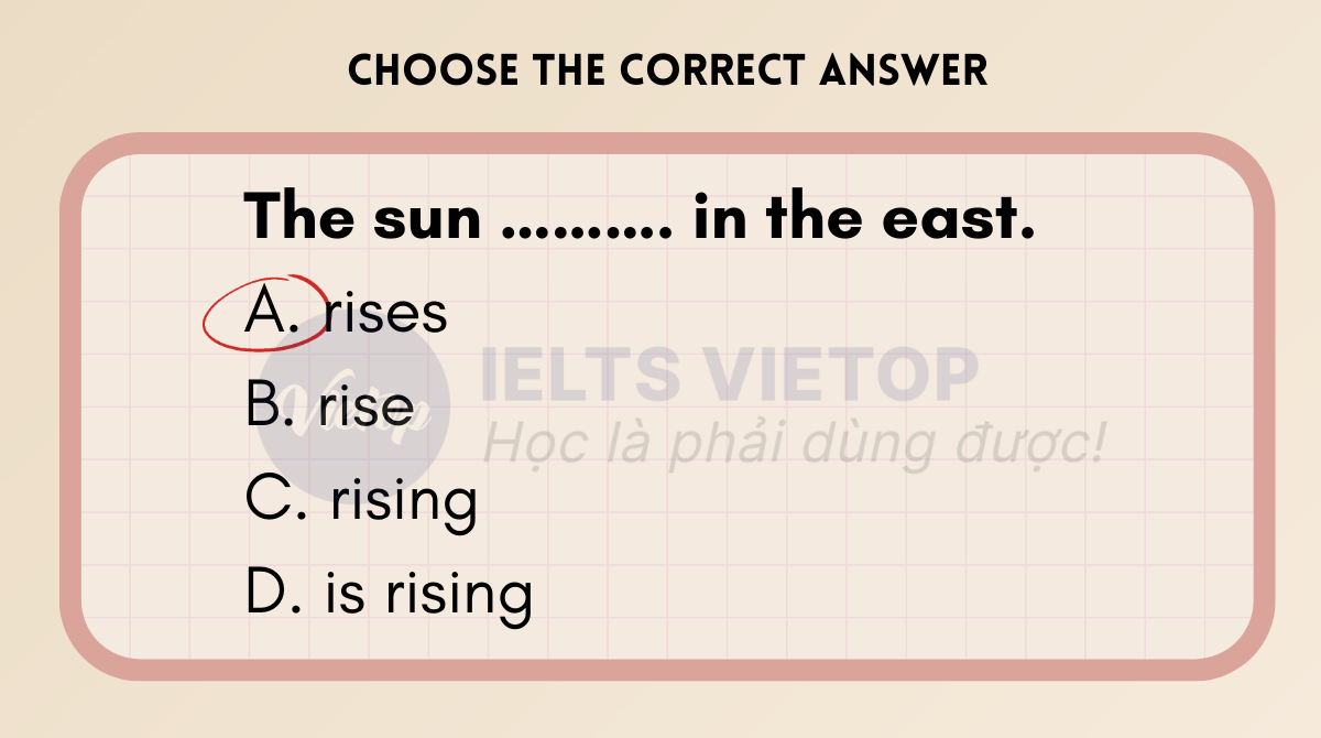 bài tập thì quá khứ đơn và hiện tại đơn