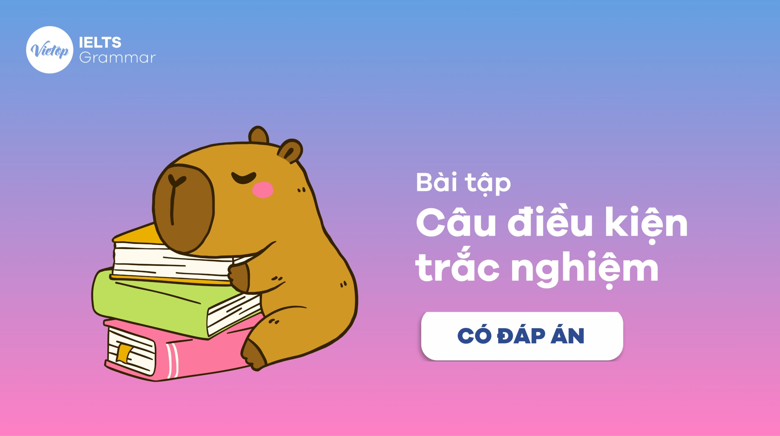 Bài tập câu điều kiện trắc nghiệm