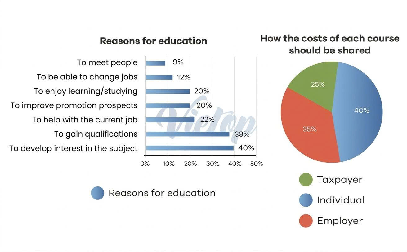 Biểu đồ IELTS Wrtiting Education