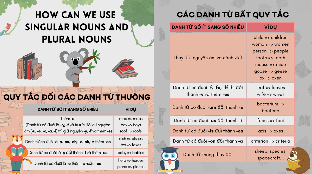 bài tập danh từ số ít và danh từ số nhiều