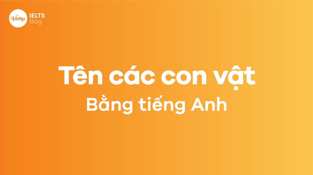 tên các con vật bằng tiếng Anh