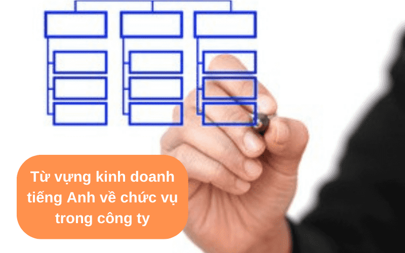 Từ vựng kinh doanh tiếng Anh về chức vụ trong công ty