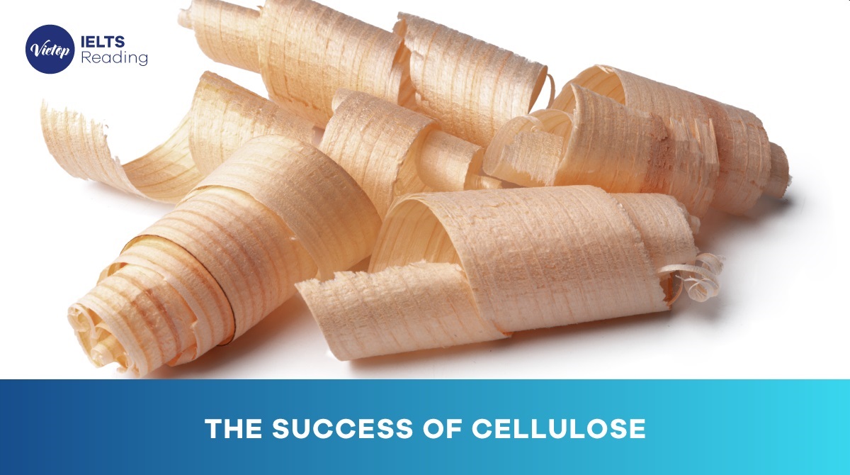 Reading Practice: The success of cellulose