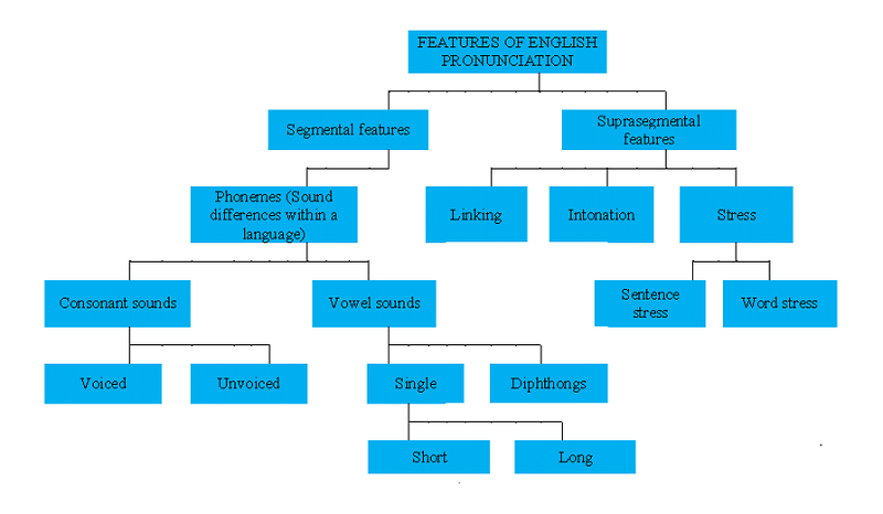 Pronunciation Features