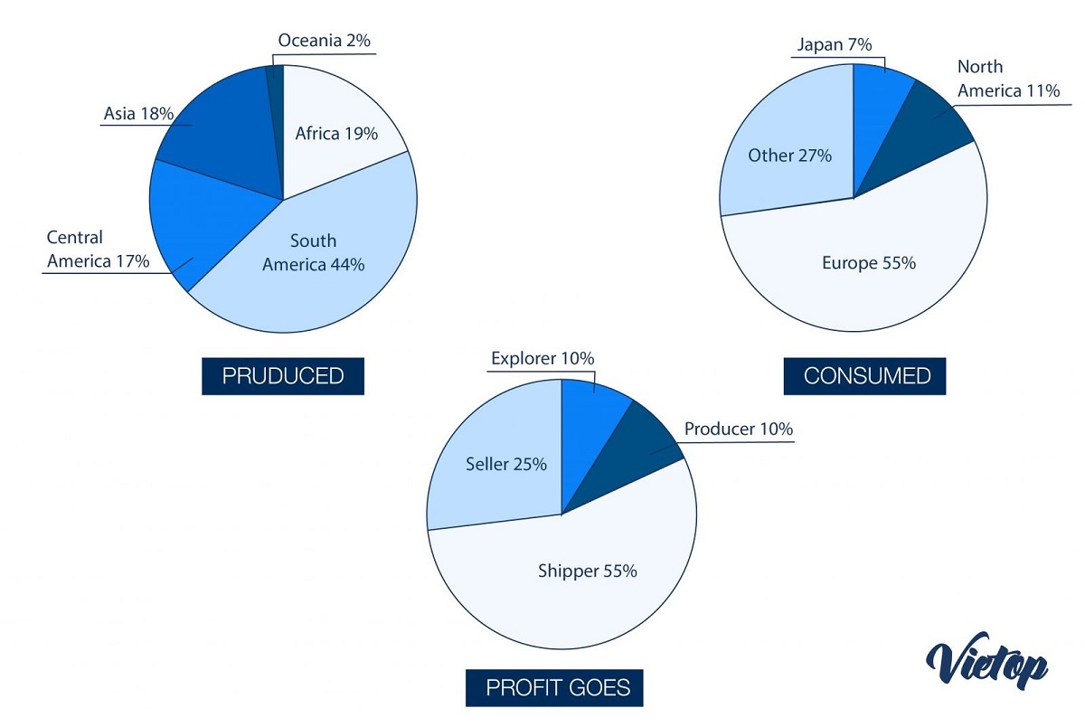 IELTS Writing Task 1 - Biểu đồ Pie chart