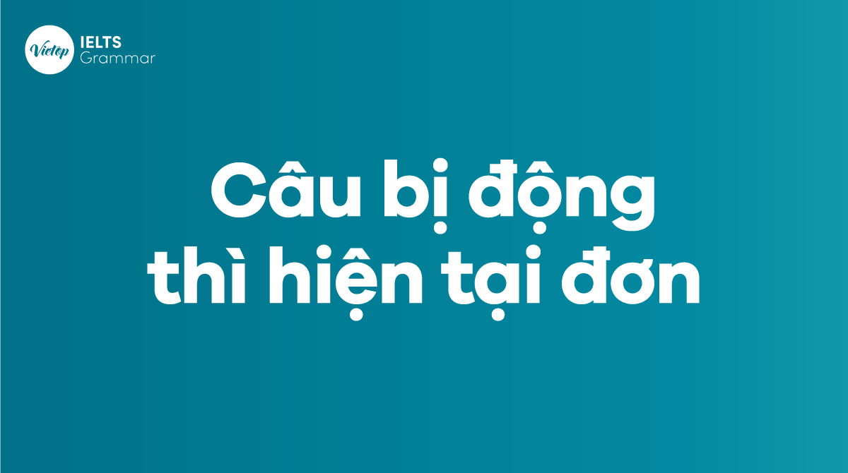 Câu bị động thì hiện tại đơn Cấu trúc, cách dùng, bài tậpCâu bị động thì hiện tại đơn Cấu trúc, cách dùng, bài tập