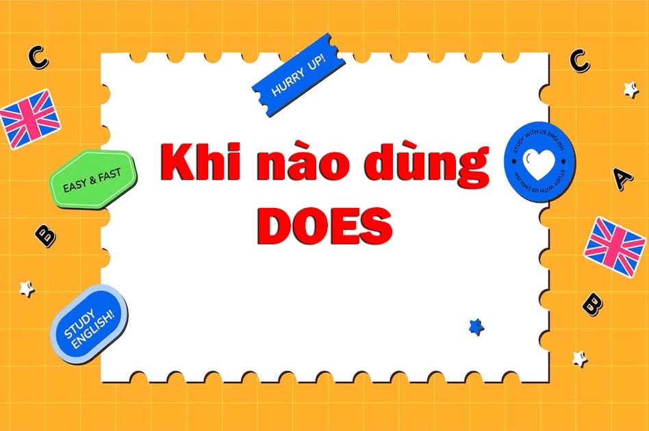 Cách dùng và cấu trúc câu với does là gì