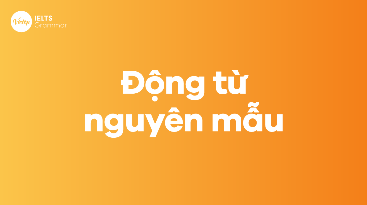 Động từ nguyên mẫu là gì