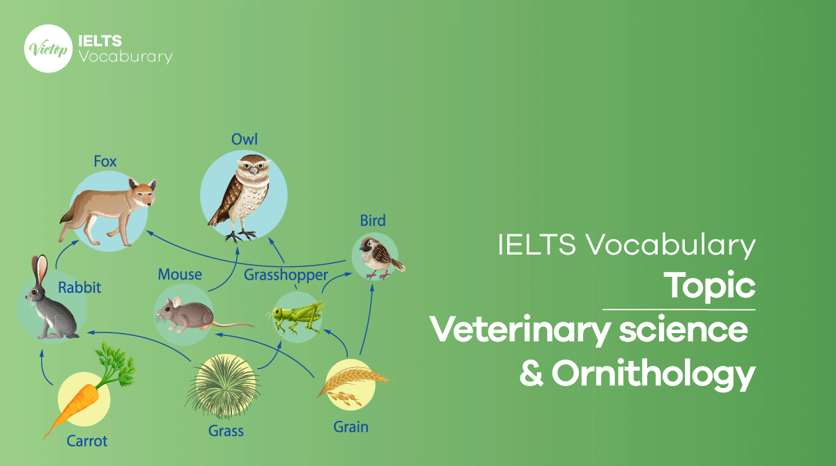 IELTS Vocabulary topic Veterinary science và Ornithology