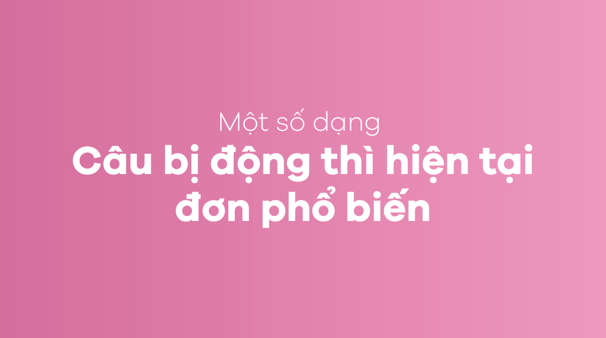 Một số dạng câu bị động thì hiện tại đơn phổ biến