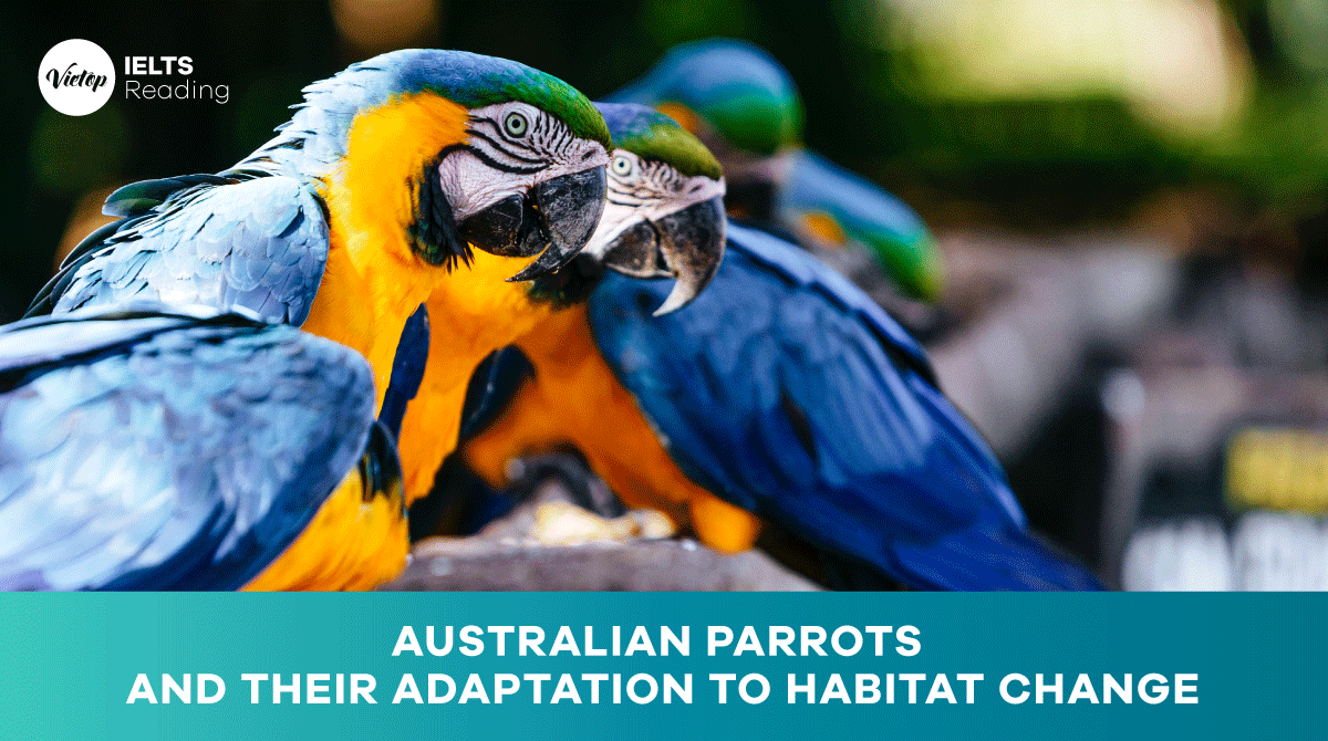 Reading Practice Australian parrots and their adaptation to habitat change