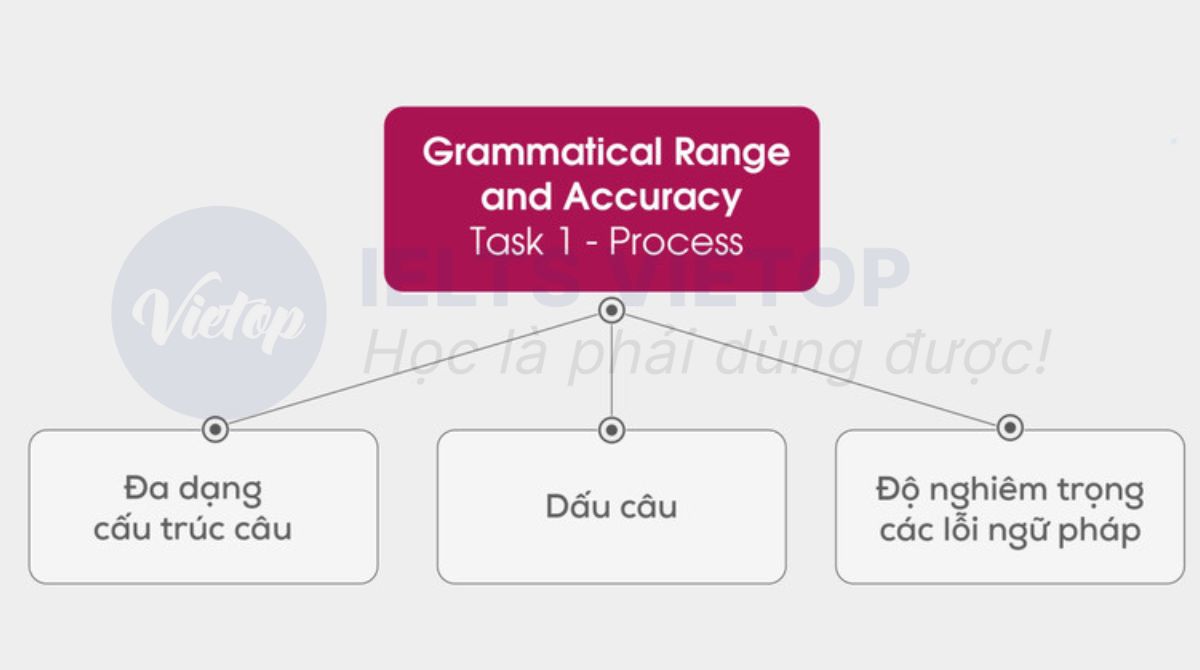 Tại sao tiêu chí Grammatical Range Accuracy trong IELTS Writing là quan trọng?