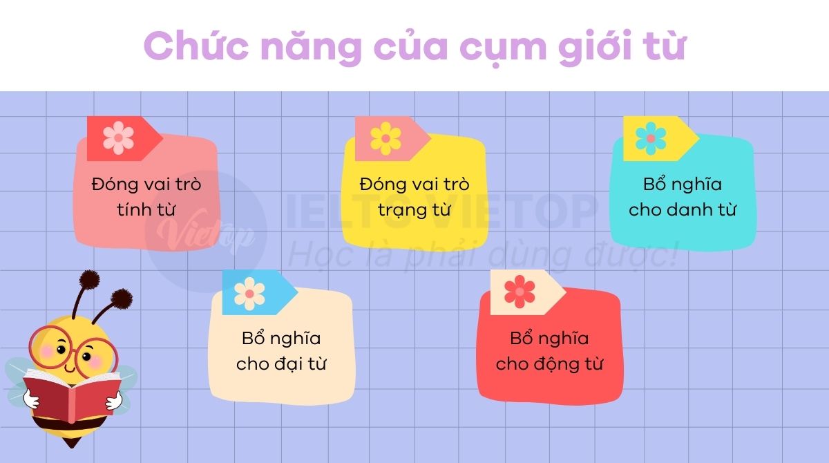 Chức năng của cụm giới từ