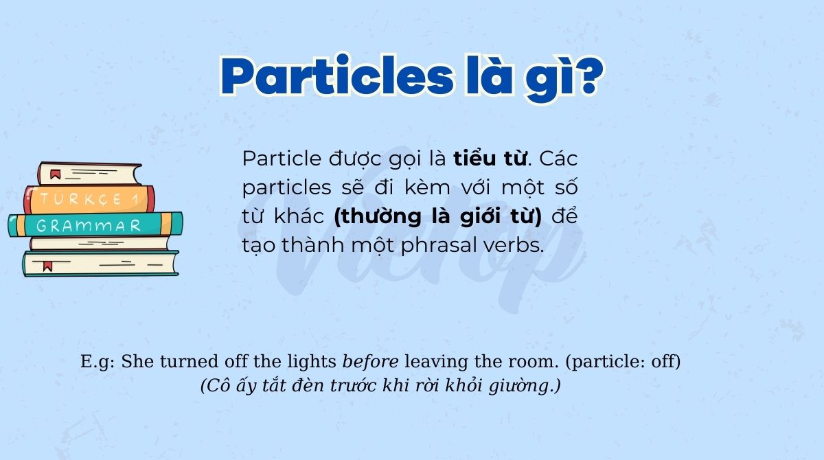 Particles là gì?