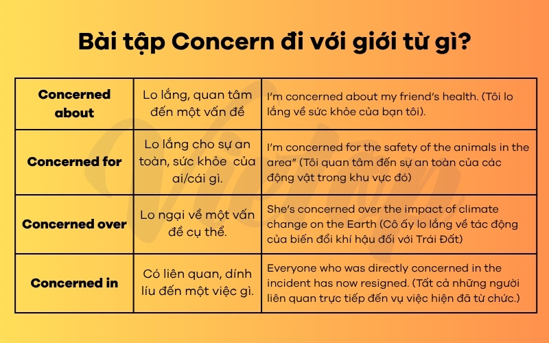 Bài tập concern đi với giới từ gì?