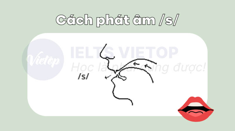 Cách phát âm s