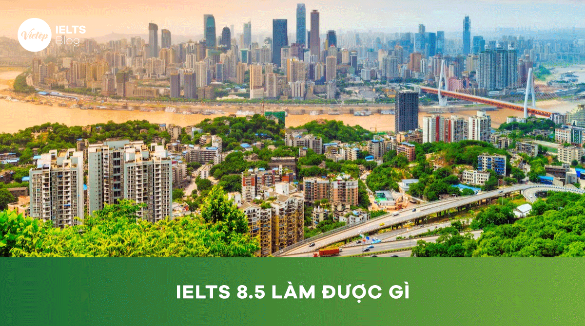 Có bằng IELTS 8.5 làm được gì