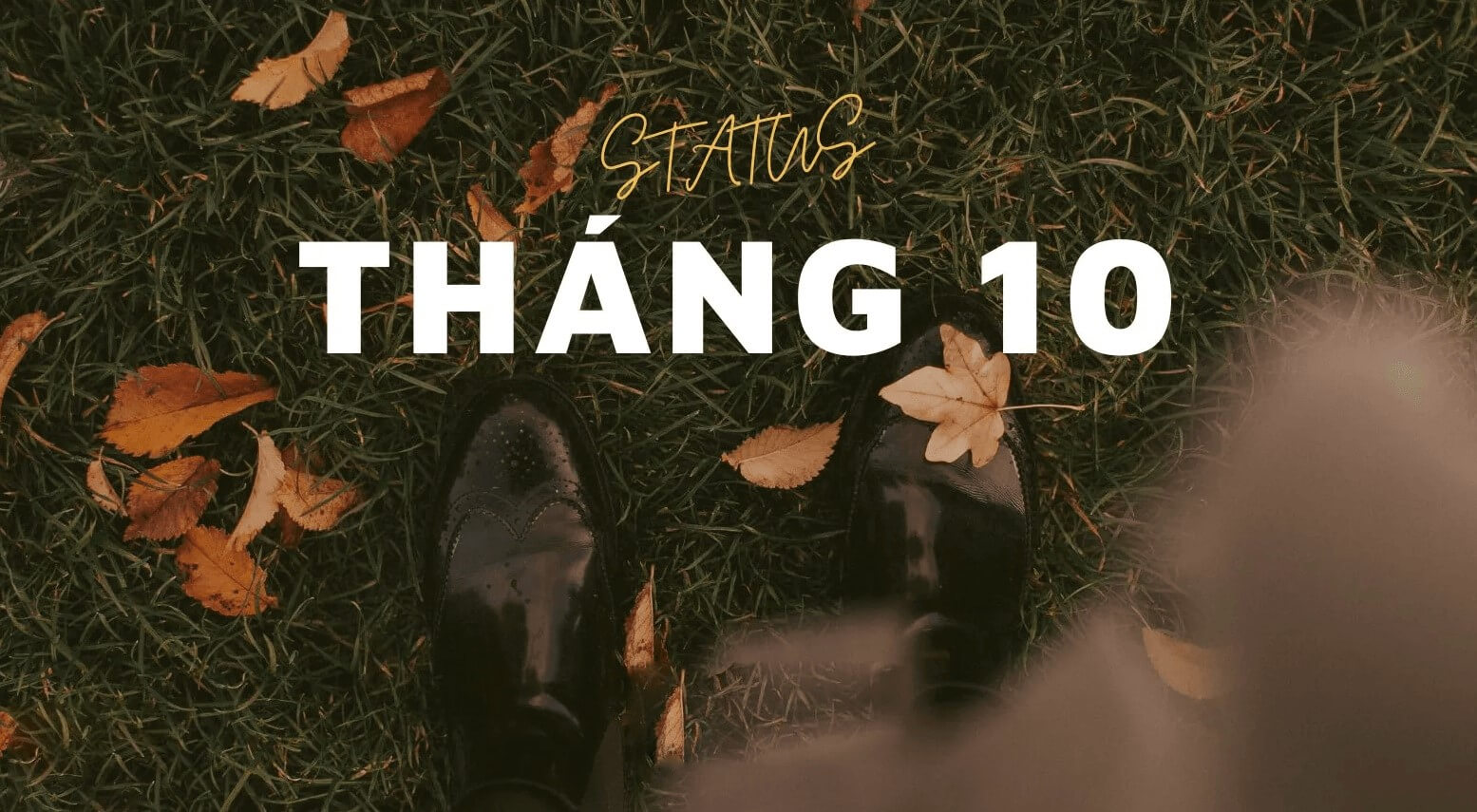 Một số câu nói hay về tháng 10 October trong tiếng Anh