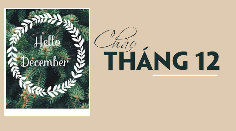 Tổng hợp các câu chào tháng 12 December hay bằng tiếng Anh