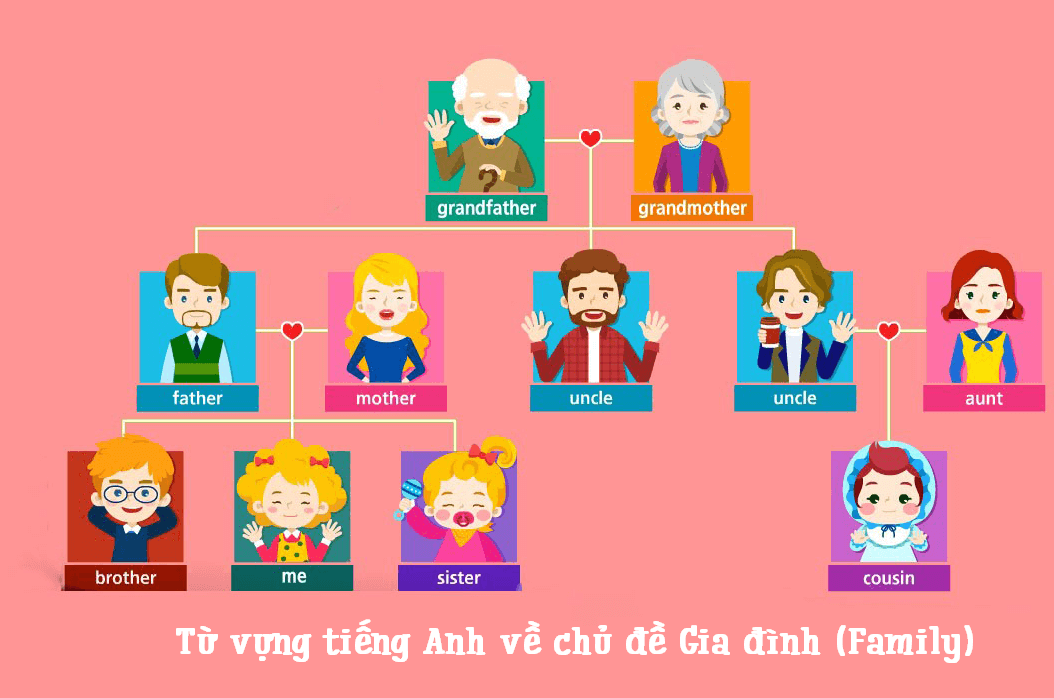 Từ vựng chỉ người thân trong tiếng Anh