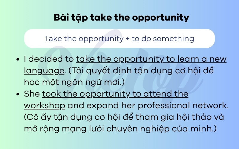 Bài tập take the opportunity