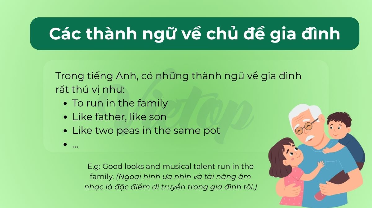 Các thành ngữ về chủ đề gia đình trong tiếng Anh