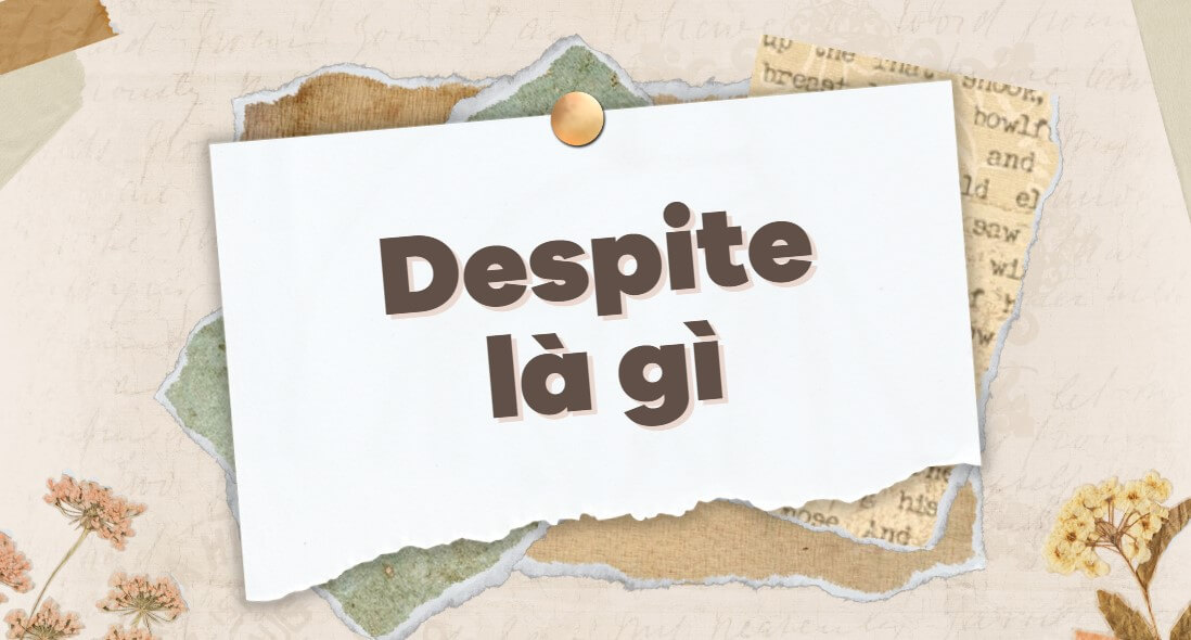 Despite là gì