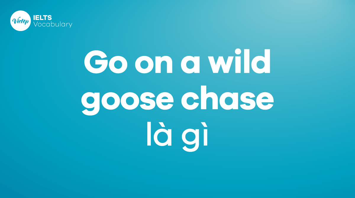 Go on a wild goose chase là gì Ý nghĩa, nguồn gốc và cách dùng