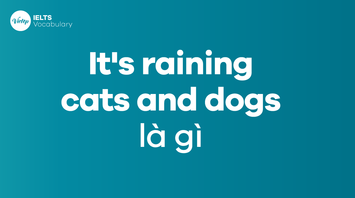 It's raining cats and dogs là gì Ý nghĩa, nguồn gốc và cách dùng