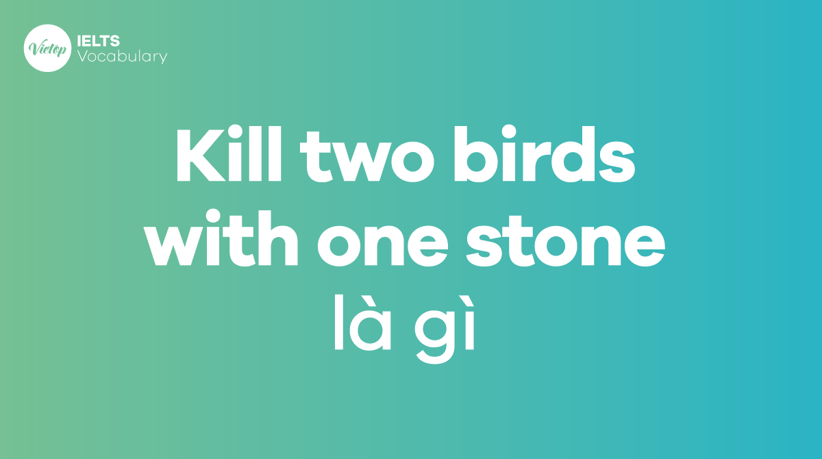 Kill two birds with one stone là gì Ý nghĩa, nguồn gốc và cách dùng