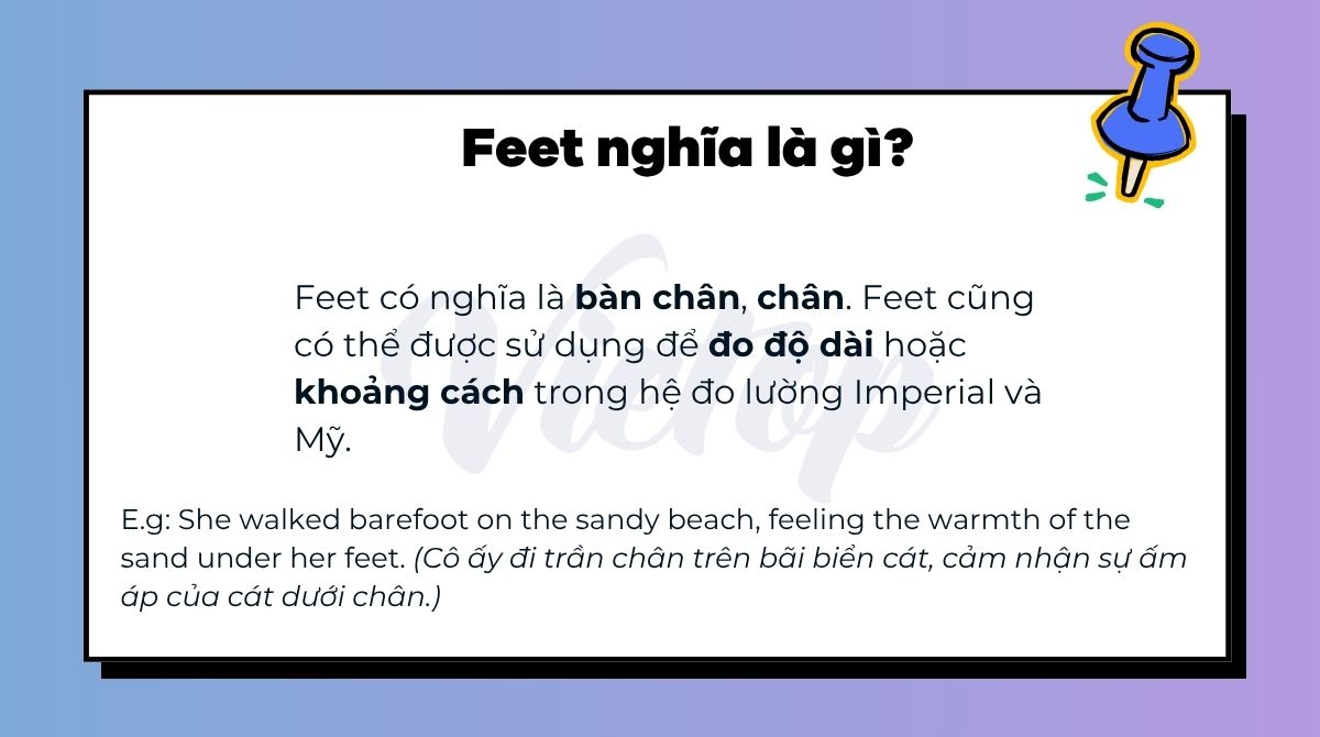 Feet nghĩa là gì?