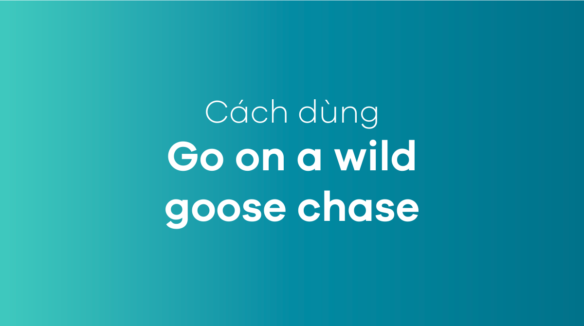 Go on a wild goose chase