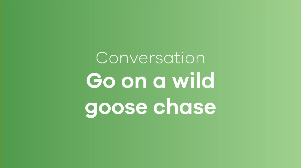 Go on a wild goose chase