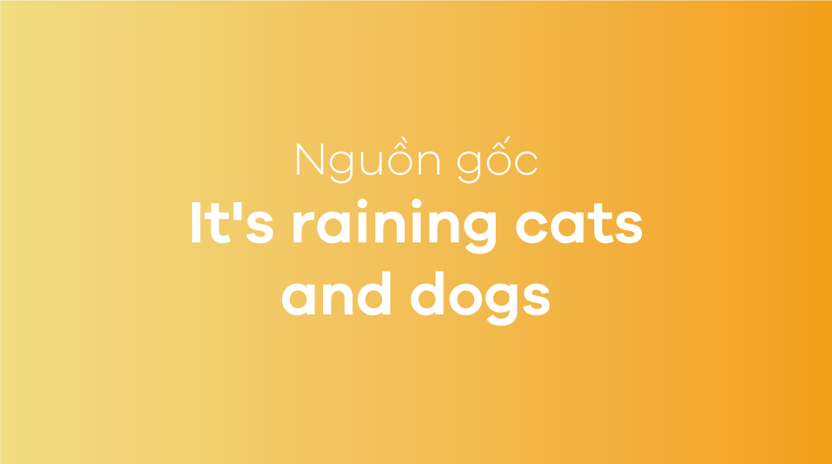 It's raining cats and dogs