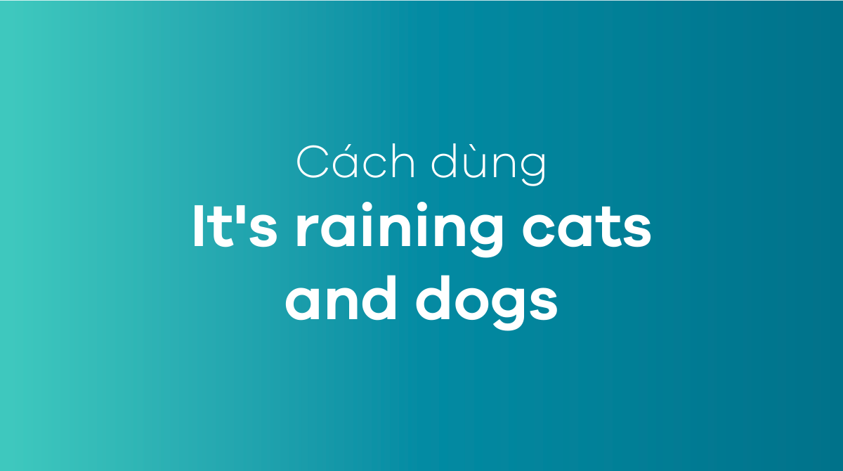 It's raining cats and dogs