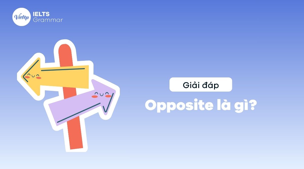 Opposite là gì? Opposite đi với giới từ gì trong tiếng Anh