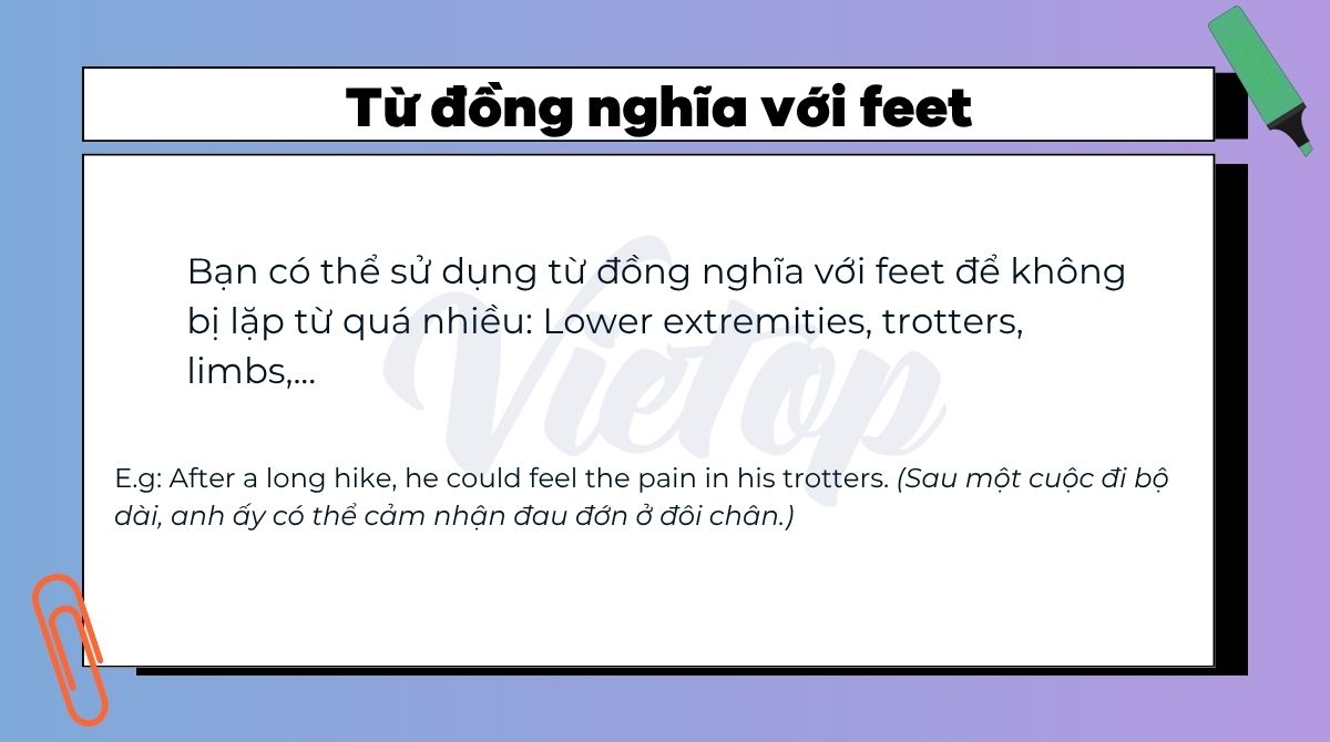 Từ đồng nghĩa với feet trong tiếng Anh