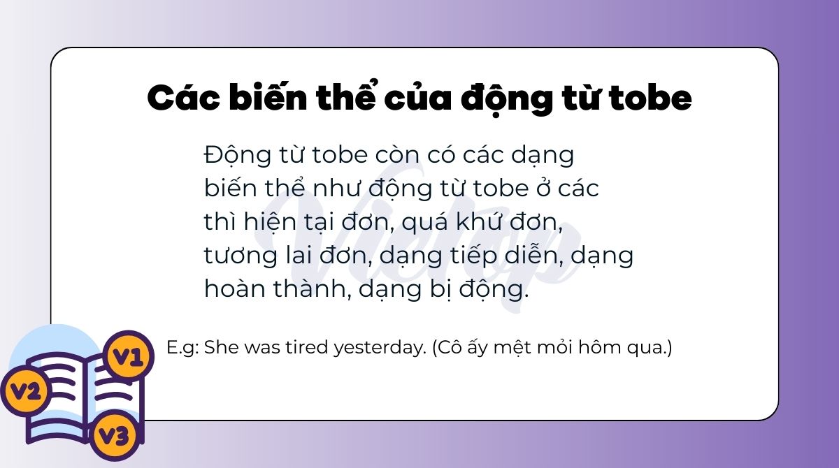 Các biến thể của động từ Tobe