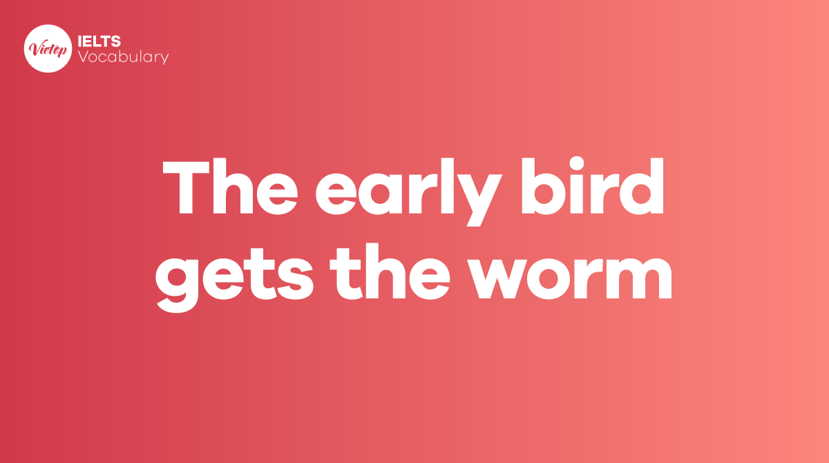 The early bird gets the worm là gì Cách sử dụng giao tiếp