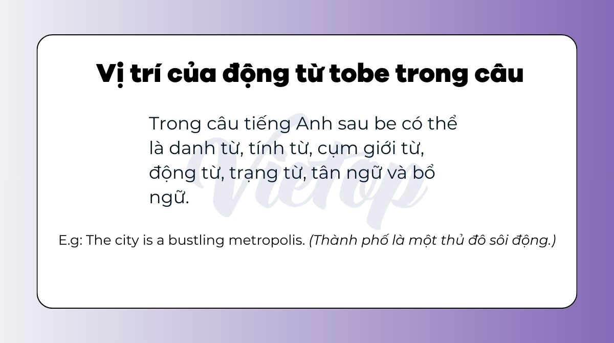 Vị trí của động từ Tobe trong câu