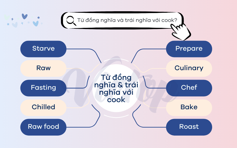 Từ đồng nghĩa và trái nghĩa với cook