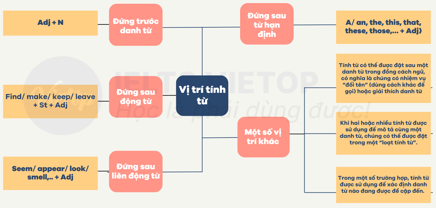 Vị trí tính từ trong câu