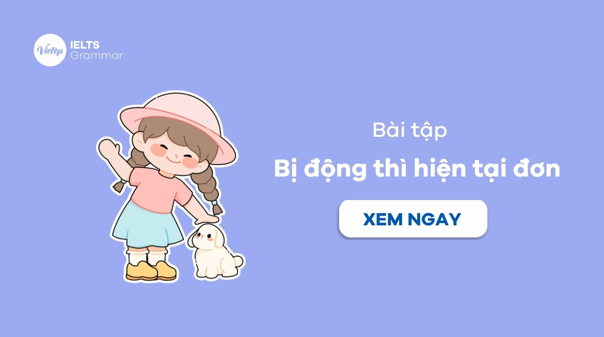 Bài tập bị động thì hiện tại đơn