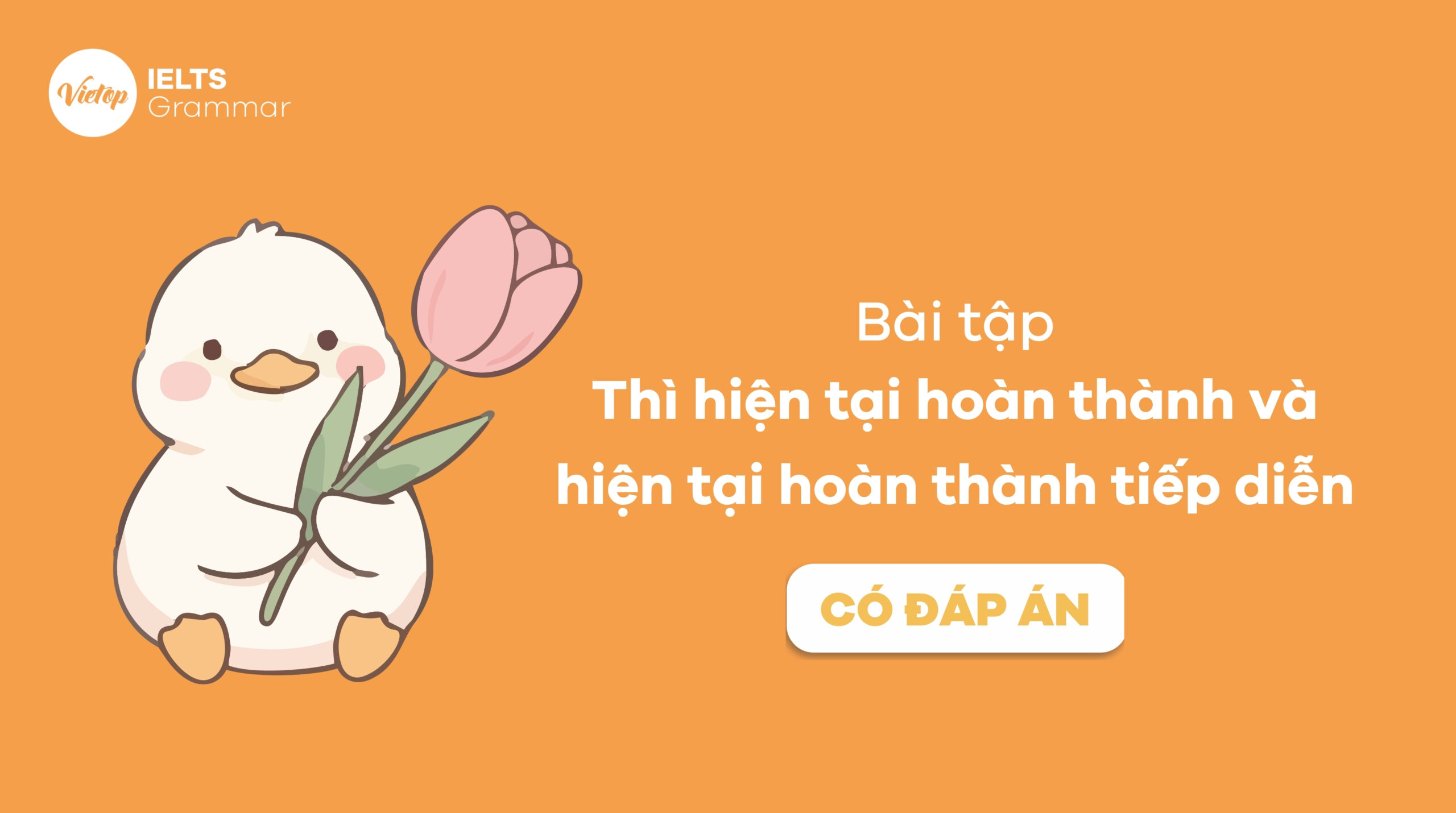 Bài tập thì hiện tại hoàn thành và hiện tại hoàn thành tiếp diễn