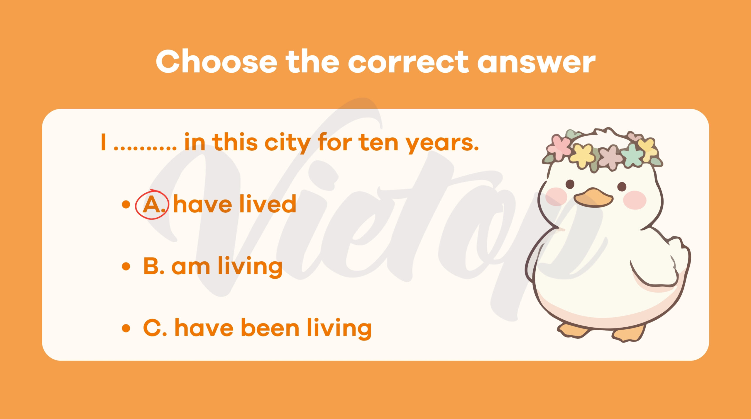 Choose the correct answer